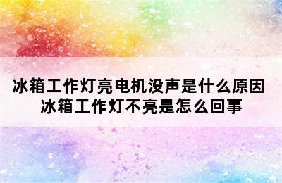 冰箱工作灯亮电机没声是什么原因 冰箱工作灯不亮是怎么回事